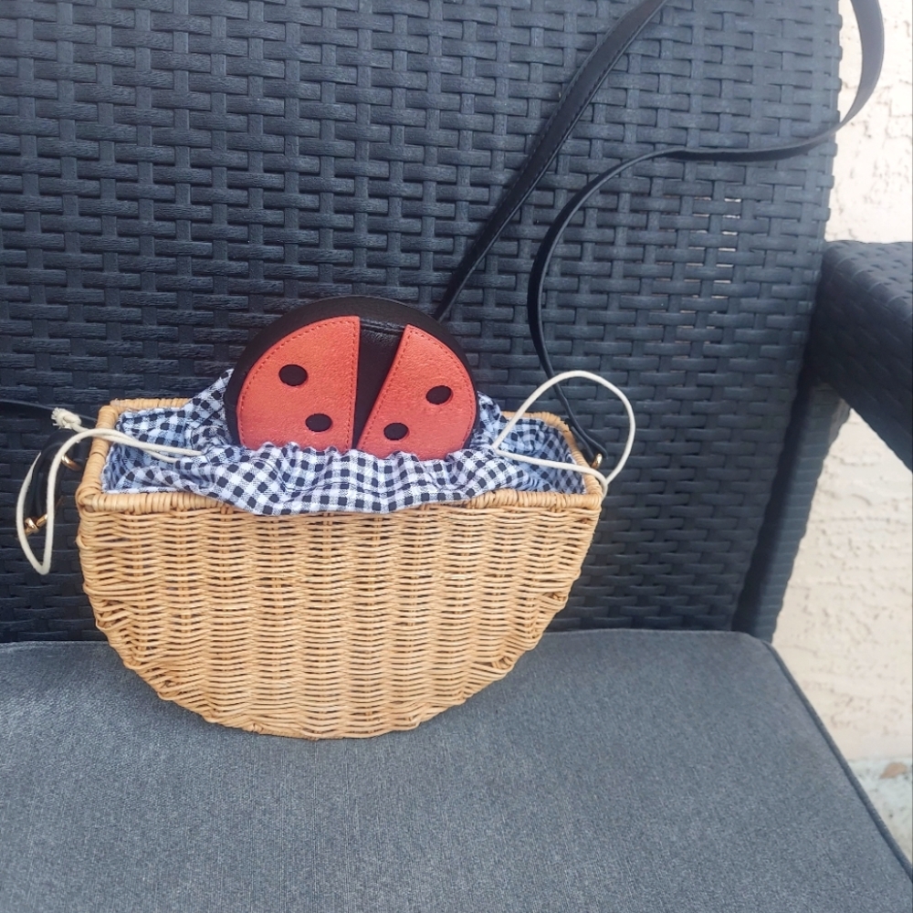 LC Lauren Conrad Wicker Crossbody Bag with Red Ladybug Accent